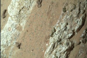 Life On Mars