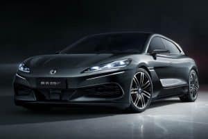 Denza D9