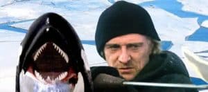 The Brilliant Orca