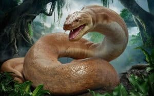 A Giant Snake