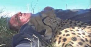 Wildlife Photographer 1