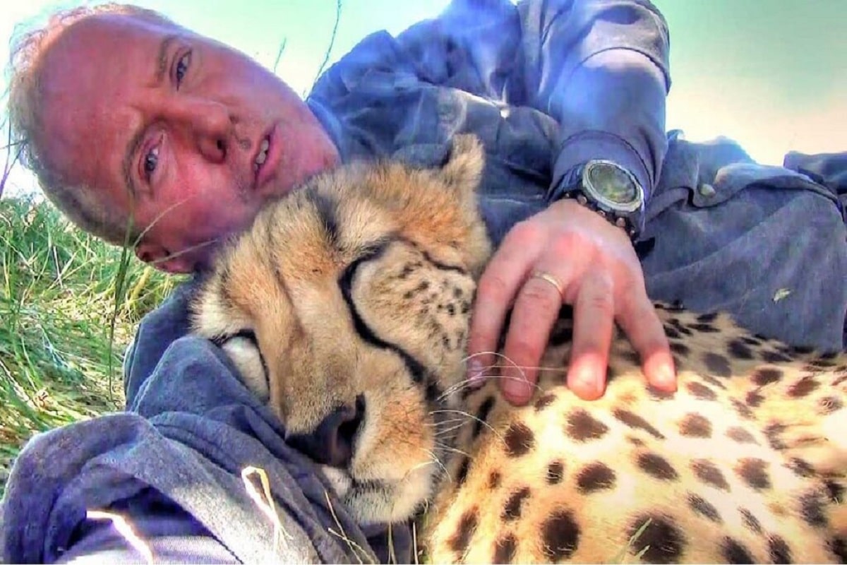 Wildlife Photographer Wakes Up Under a Tree with a Sleeping Cheetah