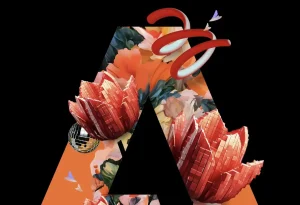 50% de réduction chez Adobe pour le Black Friday