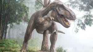 New Research Suggests The T Rex Was 70% Larger Than Previously Believed