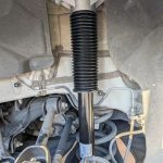 Highland Model Stands Out 2