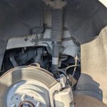 Highland Model Stands Out 3