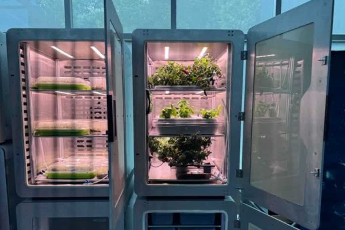 A Revolutionary Discovery