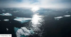 Hidden In Greenland's Icy Waters