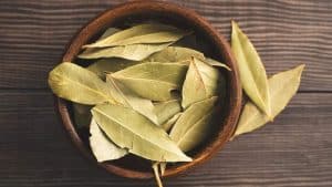This Popular Culinary Herb Helps Combat Colds