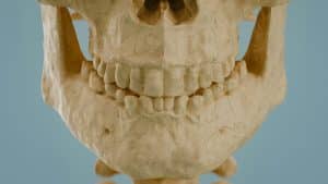 Humans Interbred With Neanderthals