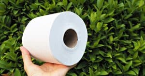 Toilet Paper To Fill In The Gaps Of Her Garden’s Grass