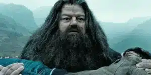 Découvrez l'acteur qui jouera Hagrid dans la série Harry Potter de HBO