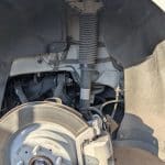 Why The Highland Model Stands Out 3