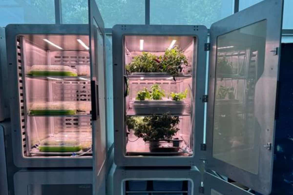 A Scientific Discovery Could Feed 136 Billion People – A Breakthrough Like the Invention of Fertilizers - Jason Deegan