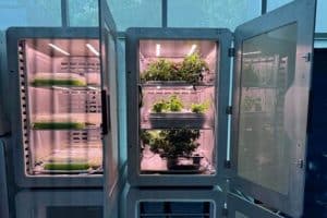 A Scientific Discovery Could Feed 136 Billion People