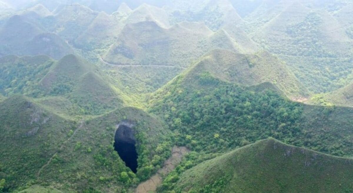 hidden forest thrives inside a giant sinkhole