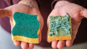 Don’t Throw Away Your Sponge
