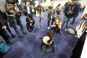 Humanoid robots