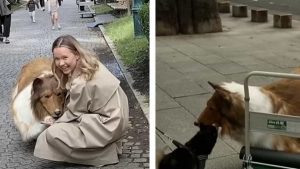 Japan’s “dog man”