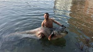 Massive 2.5-meter fish