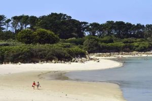 Polluted beaches