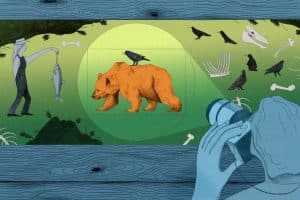 The Hidden Truth Behind “Perfect” Wildlife Photos