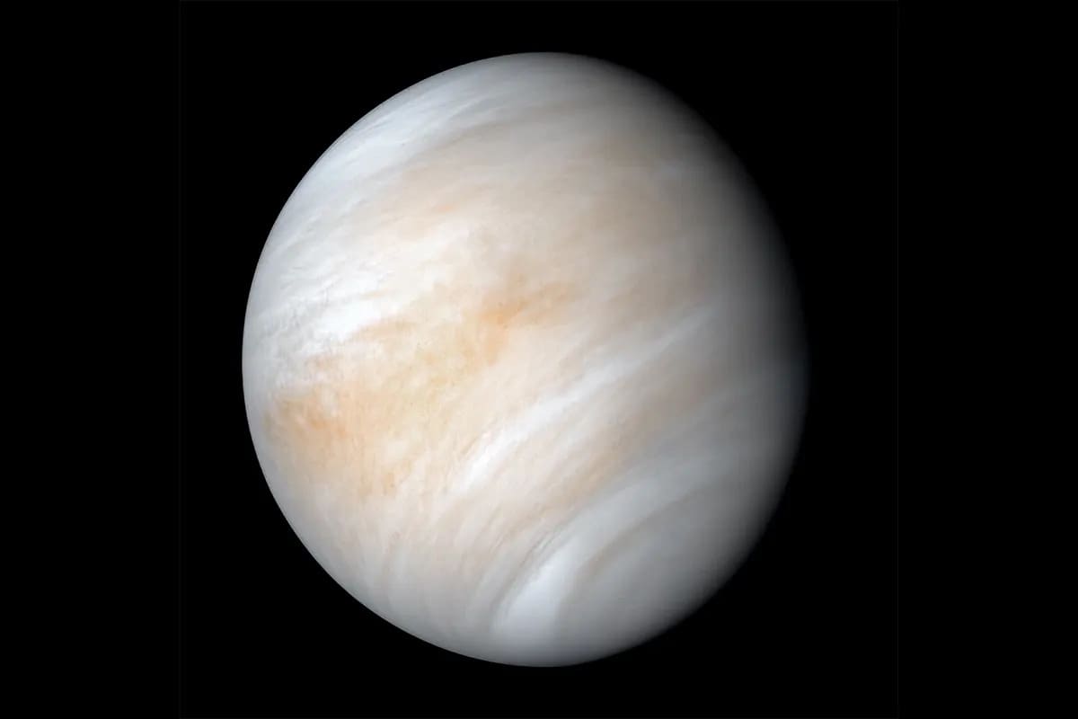 Venus 