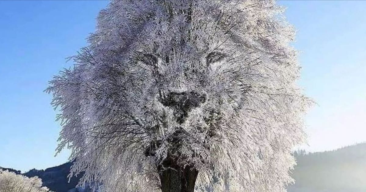 What You Notice First in This Photo Reveals a Lot About You