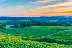 France’s Grand Est Region Leads Mineral Production for Industry