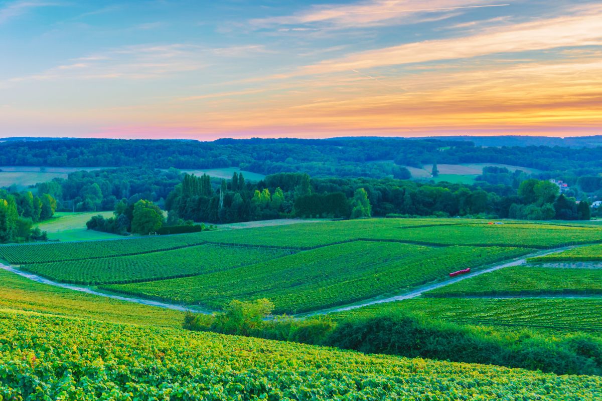 France’s Grand Est Region Leads Mineral Production for Industry