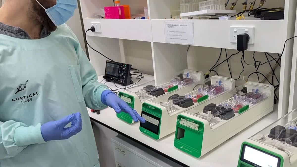 We Use Neurons For Computing And Ai