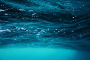 Meet The Ocean’s New Nightmare