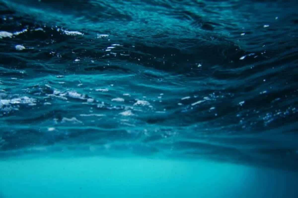 Meet The Ocean’s New Nightmare