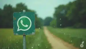 WhatsApp : un répondeur bientôt opérationnel pour les appels manqués